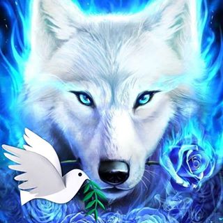 Brendan Gallagher's avatar