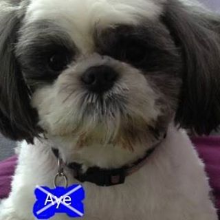 Helen McMonagle's avatar