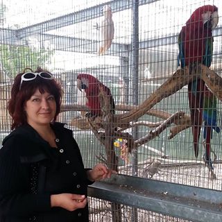 Nelli Lebedeva's avatar