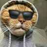 Shuvo Rayhan's avatar