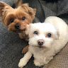Holly C's avatar
