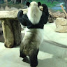 Shuyu L's avatar