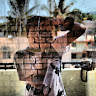 Farzan A's avatar