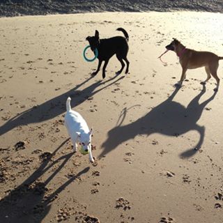 Amy Jewison's avatar