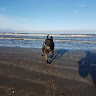 Finlays Fishing's avatar
