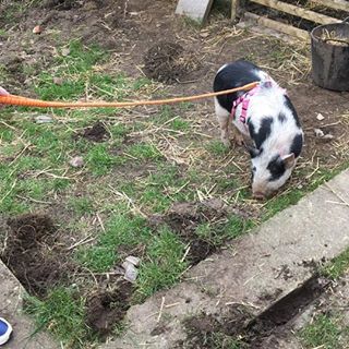 Jason Browne's avatar