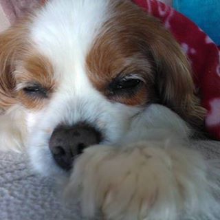 Sharon Milner's avatar