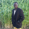 Mustafa C's avatar