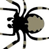 Allen's avatar