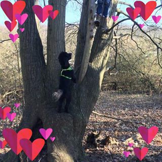 Jackie Retigan's avatar