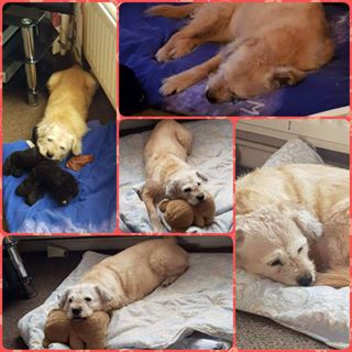 Elaine Humpage's avatar