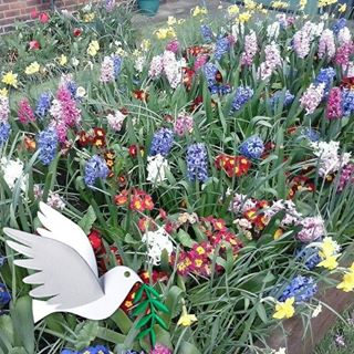 Chris Slack's avatar