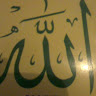 Shaif S's avatar