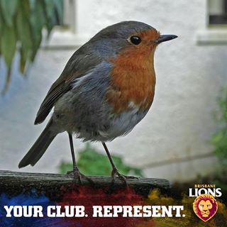 Mairia Dunn's avatar