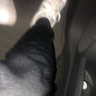 Zef G's avatar