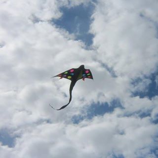 Lesley MacLeod's avatar