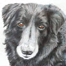 Angela F's avatar