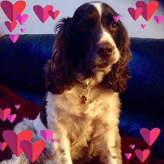 Lesley Geeves's avatar