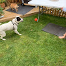 Ollie C's avatar