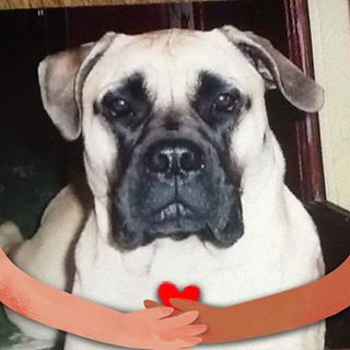 Kathleen Shepherd- Slade's avatar