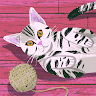 H S's avatar