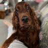 Mandy D's avatar
