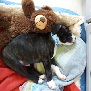 Joanne Caroline Cruickshank's avatar