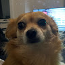 Sam 's avatar