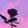Yasmin F's avatar