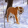 Carol Ann Little 's avatar