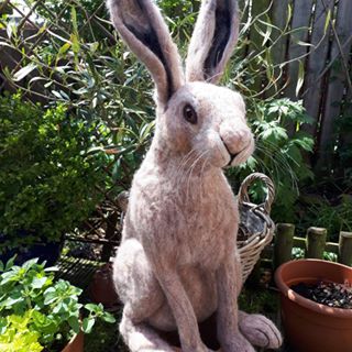 Lemony Hackett's avatar