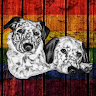 Maria Szabo's avatar