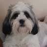 Thelma Doswell's avatar