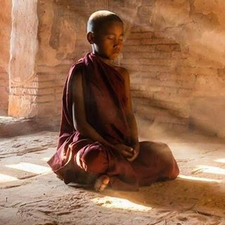 Andy Naylor's avatar