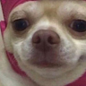 shootyMCshootjr's avatar