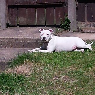 Elaine Guthrie's avatar