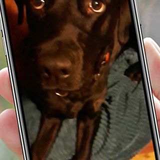 Siobhan Brennan's avatar