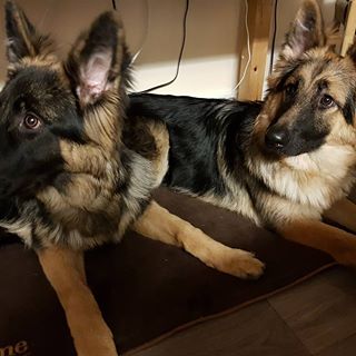 Jenny Trott's avatar