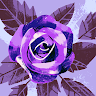 U A's avatar