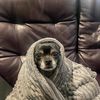 Laura L's avatar