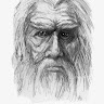 john a's avatar