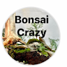 Bonsai A's avatar