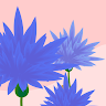 Hope's avatar