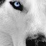 I Mani's avatar