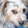 Dave R's avatar