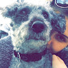 Lucy's avatar