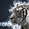 J I's avatar