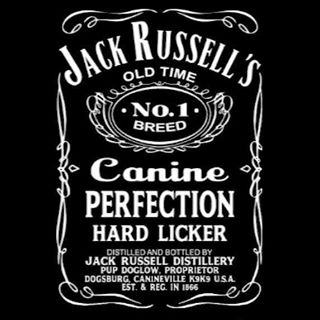 Anton Jermanis's avatar