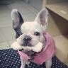 Ale's avatar