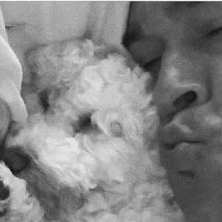 Jason Hammer Yaz's avatar